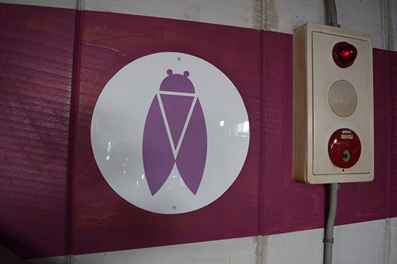 画像：万8駐車場